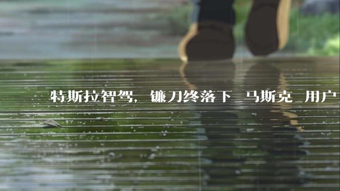 特斯拉智驾，镰刀终落下_马斯克_用户_北美